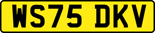 WS75DKV