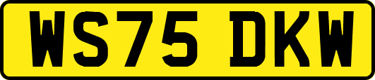 WS75DKW