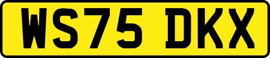 WS75DKX