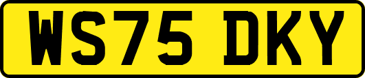 WS75DKY