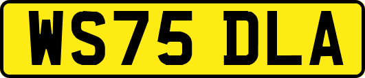 WS75DLA