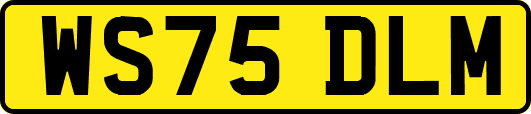 WS75DLM