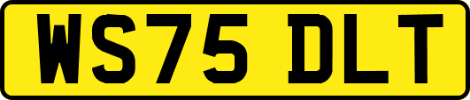 WS75DLT