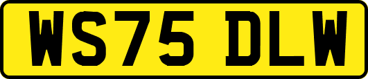WS75DLW