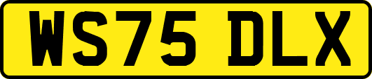 WS75DLX