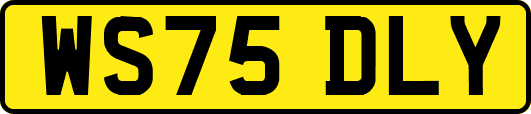 WS75DLY