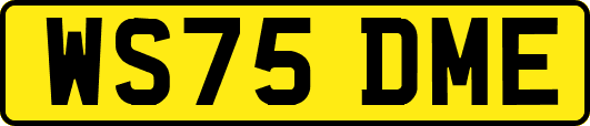 WS75DME