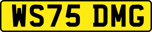 WS75DMG