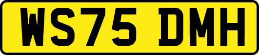 WS75DMH