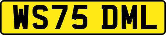 WS75DML