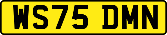 WS75DMN