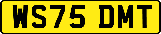 WS75DMT