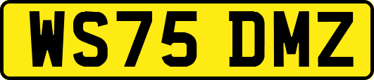 WS75DMZ