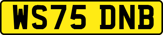 WS75DNB