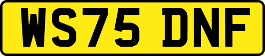 WS75DNF