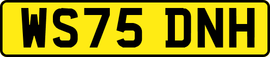 WS75DNH