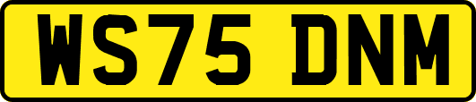 WS75DNM