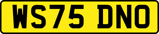 WS75DNO
