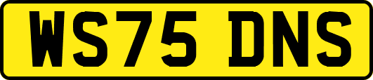 WS75DNS