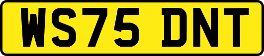 WS75DNT