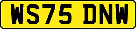 WS75DNW