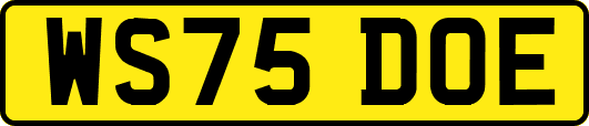 WS75DOE