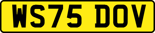 WS75DOV