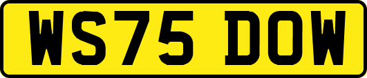 WS75DOW