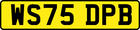 WS75DPB
