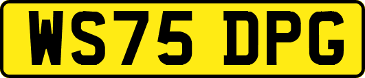 WS75DPG