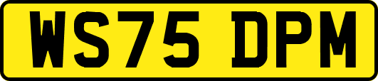 WS75DPM