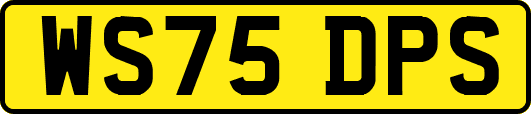 WS75DPS