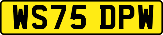 WS75DPW