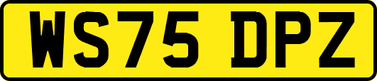 WS75DPZ