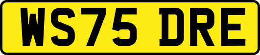 WS75DRE