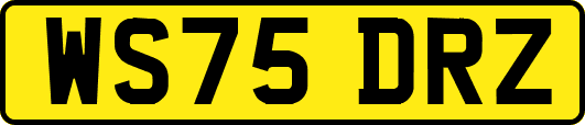 WS75DRZ