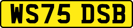 WS75DSB