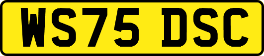WS75DSC