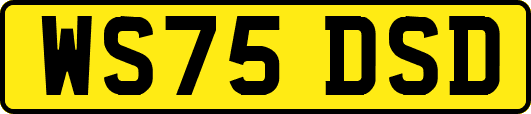 WS75DSD