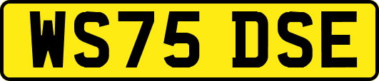 WS75DSE