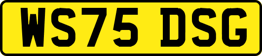 WS75DSG