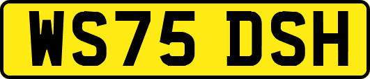 WS75DSH