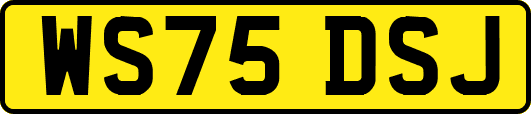 WS75DSJ