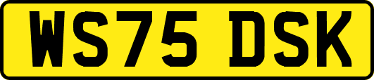 WS75DSK