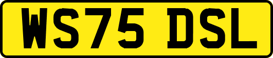WS75DSL
