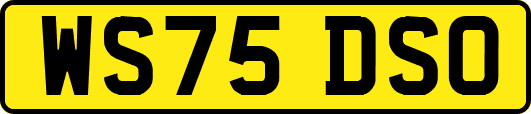 WS75DSO