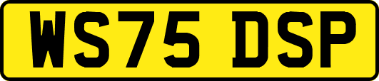 WS75DSP