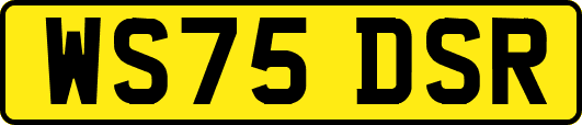 WS75DSR