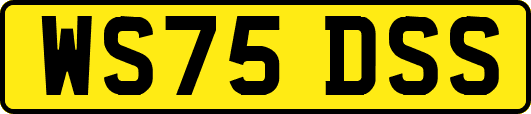 WS75DSS