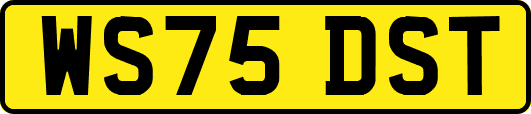 WS75DST